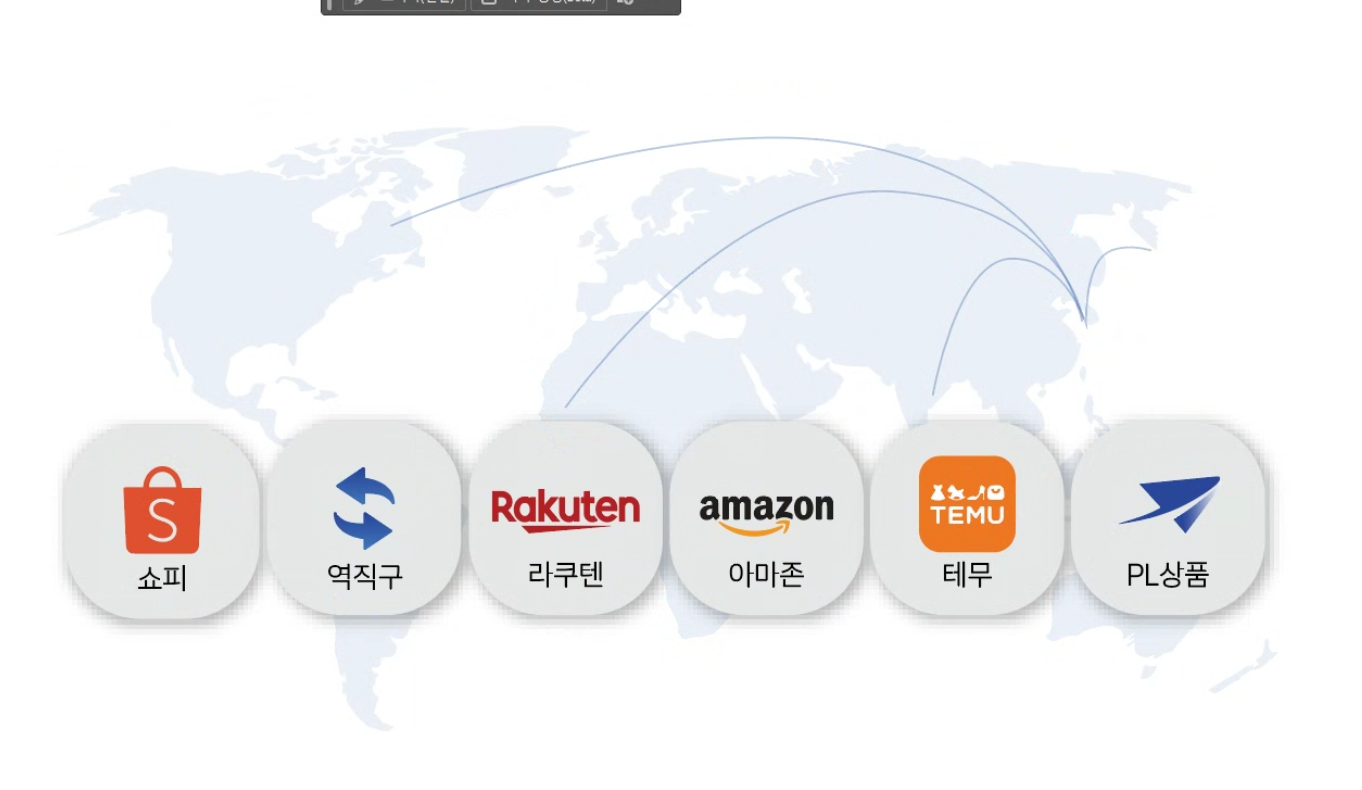글로벌 플랫폼 확장 — 쇼피·역직구·라쿠텐·아마존·테무·PL상품